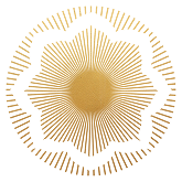 sha illustrations 03